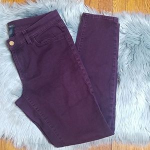 Ann Taylor Women's Modern Straight Leg Jeans